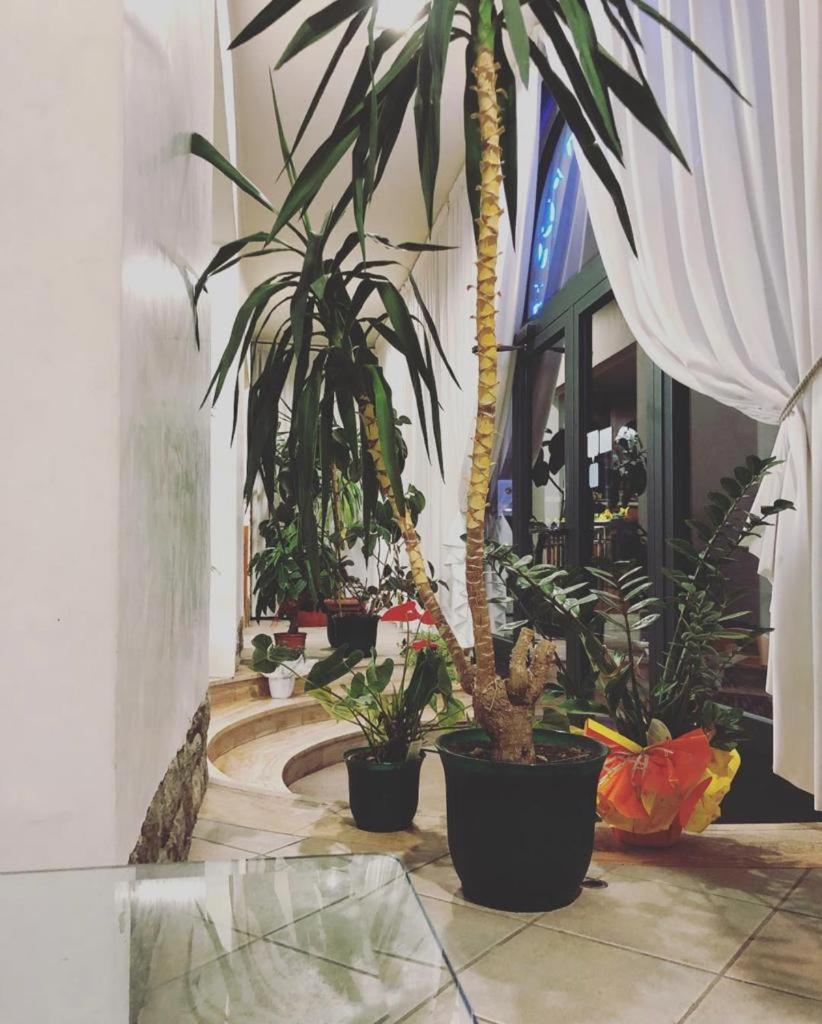 Albergo La Posta Arezzo Badia Al Pino المظهر الخارجي الصورة